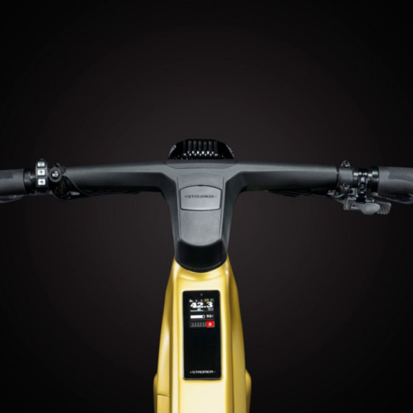 ST7 Pinion Stromer Noir, L – Image 3
